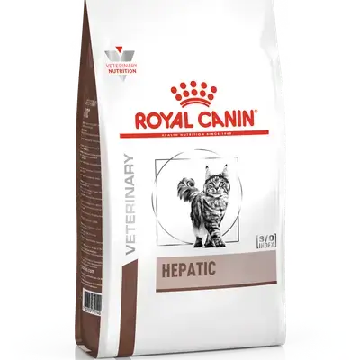 Hepatic