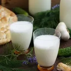 Yogurt