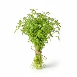 Cress