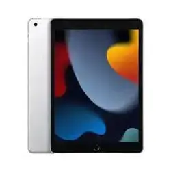 10.2-inch iPad Wi-Fi 256GB - Silver