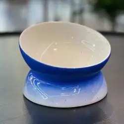Floor Feeding Anti-Vomit Ceramic Pet Bowl