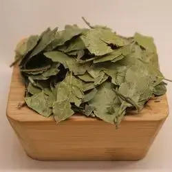 Lote leaves 