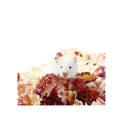 E920 Natural Hamster Bedding