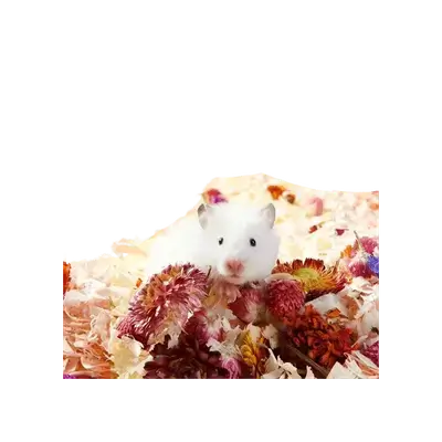 E920 Natural Hamster Bedding
