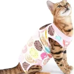 Cat Surgery Recovery Suit S