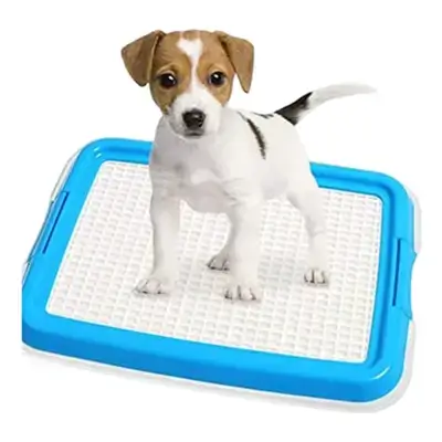 Double Layer Potty Pad