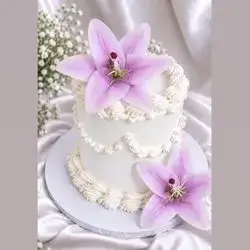 Special Cake - 4 Persons
