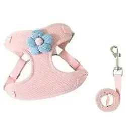 Leash & Harness L
