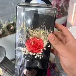 Gift