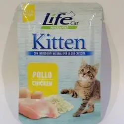 Life Kitten