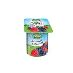 Sutas Fruit Yoghurt Forest Fru 115g