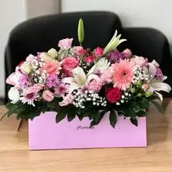 The girl pink box