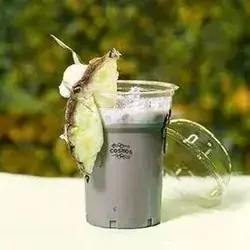 Cosmos Cocktail