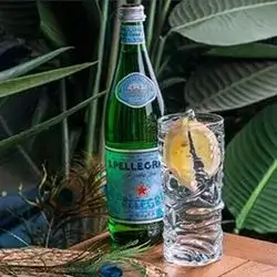 Sparkling Water (Large)