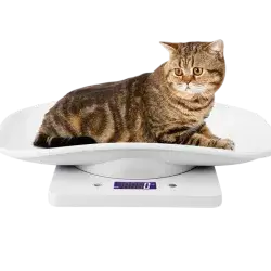 Digital Cat Puppy Small Pet Weighing Scales