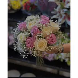 13 Rose