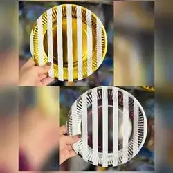 disposable paper plate