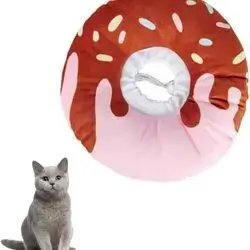 Protective Collar S