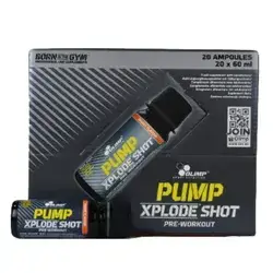 Pump