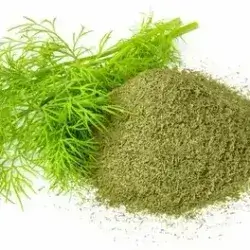 Dryer Dill