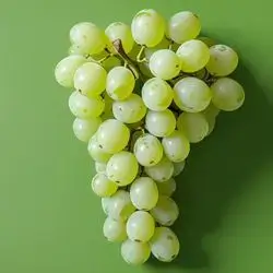 White Grapes