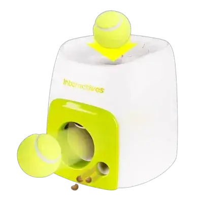 Automatic Pet Toy Rolling