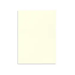 canson paper A3 - avorio