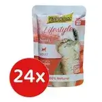 Lifestyle Salmon 24x