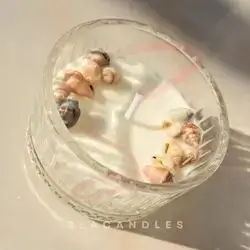 SeaShells Candle