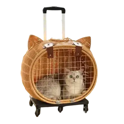 E251 Pet Carrier Wood