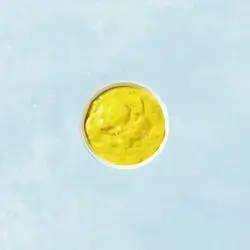 Mustard Sauce