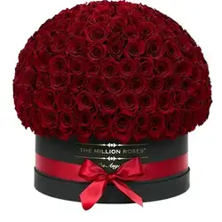Flower Box