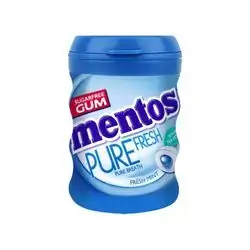 Mentos Gum Fresh Mint 49g