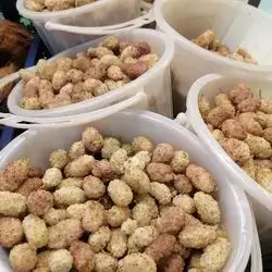 White Mulberry
