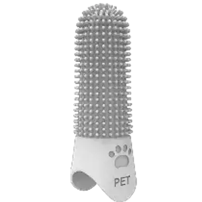 Tooth Brush