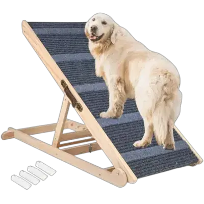 Pet Ramp
