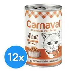 Carnaval Salmon 12x