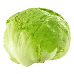 Ice Berg lettuce