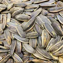 Sunflower Seeds