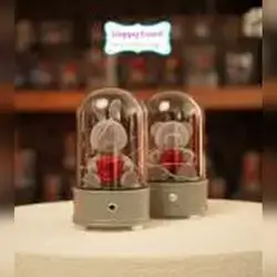 Teddy & Everlasting Flower Dome - Square Base