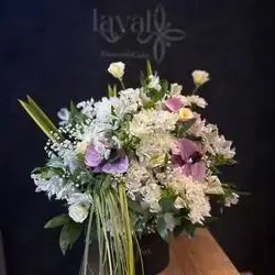 بۆکسی گوڵ پراو پر لە جوانی و ناسکی