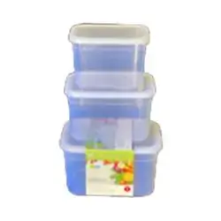 Asude Food Container Set D194