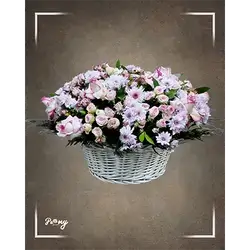 Basket Flower
