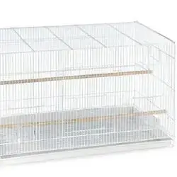 Complete Cage For Cockatiels And Parakeets, Medium Birds, 40+60 Cm