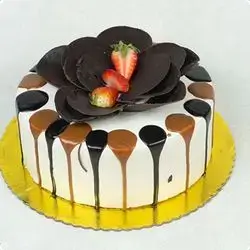 Cake Size 2