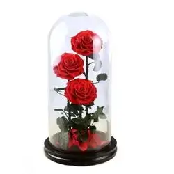 Forever Natural Flowers