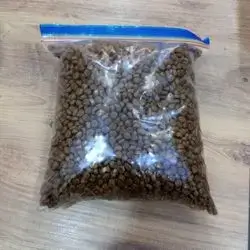 Dry food kitten
