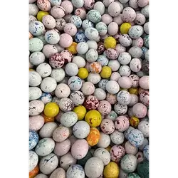 Chocolate Egg