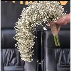 Gypsophila Flower