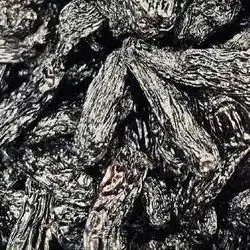 Raisins